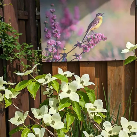 Zum Wenning Mit Garten In Daire