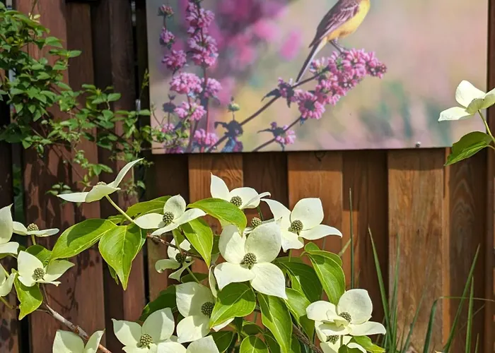 Zum Wenning Mit Garten In Lägenhet